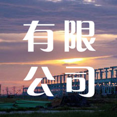 有限公司